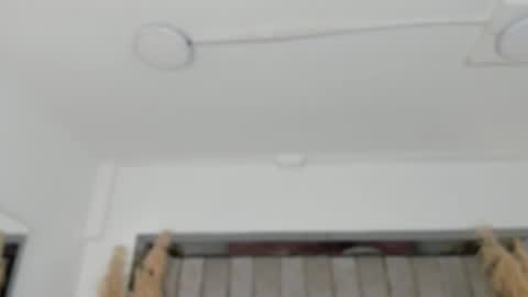 Snapshot of allijadid chatting on 2, 2, 2026 online show from 2, 2, 2026