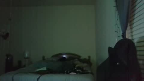 ally12334 online show from 3, 4, 2026