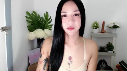 ally_monts online show from 29, 11, 2025