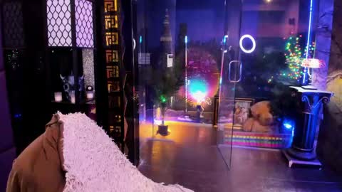 Alma online show from 18, 4, 2026