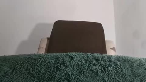 Snapshot of alotofcream chatting on 11, 10, 2025 alotofcream4u online show from 11, 10, 2025