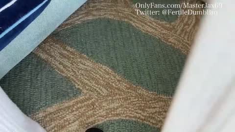 MasterJax69 online show from 27, 10, 2025