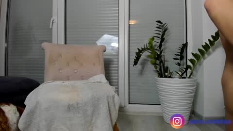 Snapshot of amalianilsson chatting on 12, 2, 2025 Amalia Nilsson online show from 12, 2, 2025