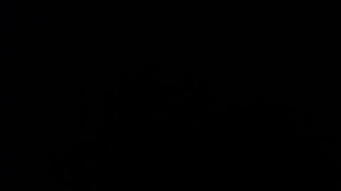 Amarantha online show from 10, 1, 2025