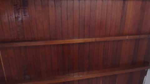   online show from 19, 11, 2025