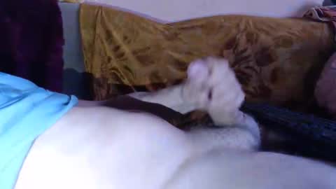 amazingcuteboy845 online show from 15, 4, 2026