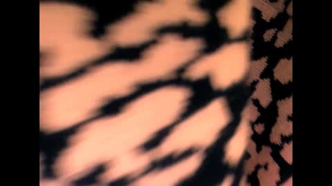 Snapshot of amazingmelons chatting on 3, 5, 2026 amazingmelons online show from 3, 5, 2026
