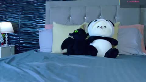 amber_bull online show from 27, 11, 2025