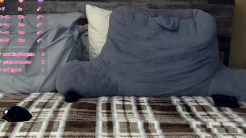 Snapshot of amberdawnn23 chatting on 18, 2, 2025 Amber Dawnn online show from 18, 2, 2025