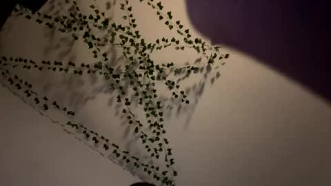 Snapshot of amberispurple chatting on 8, 12, 2024 AmberIsPurple online show from 8, 12, 2024