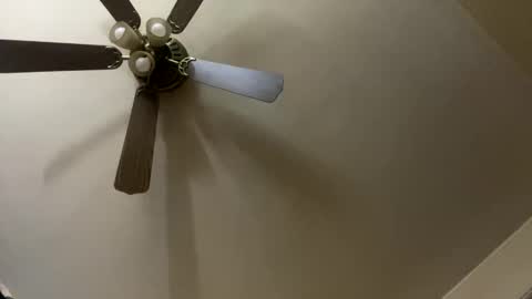 amberkni online show from 22, 3, 2026