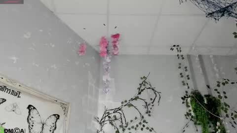 Ameli online show from 18, 2, 2026