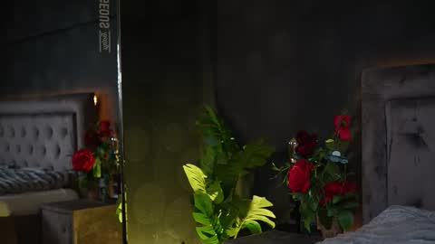  Amelia  online show from 20, 11, 2025