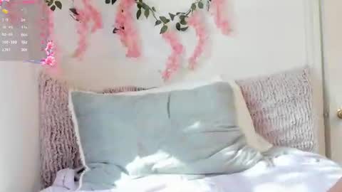 Amelia online show from 19, 6, 2026
