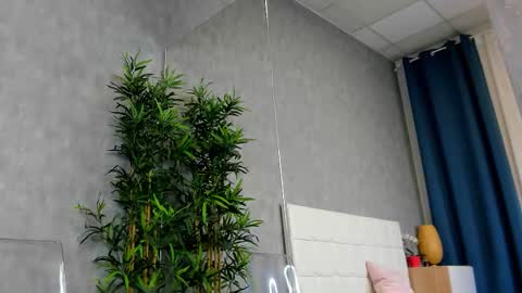 amirarees online show from 29, 10, 2025