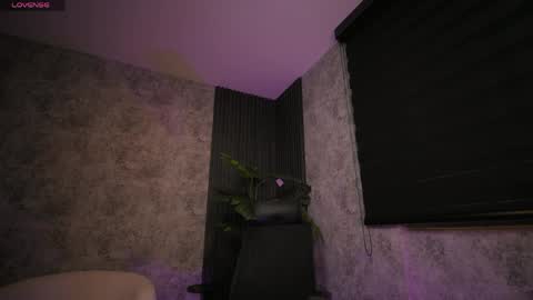 AMY WALKER online show from 2, 4, 2026