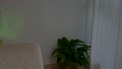 Snapshot of anabelcurvy chatting on 13, 5, 2026 anabelcurvy online show from 13, 5, 2026