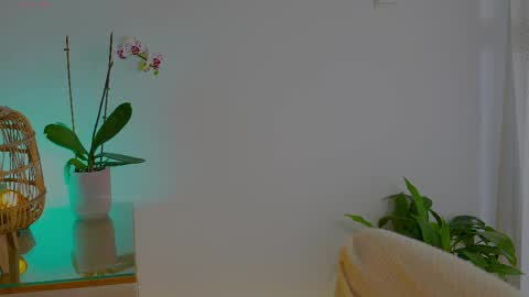 Snapshot of anabelcurvy chatting on 24, 5, 2026 anabelcurvy online show from 24, 5, 2026