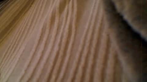 anaiserebel online show from 15, 1, 2026