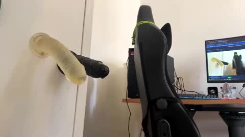 Snapshot of analass_ chatting on 20, 9, 2025 analass_ online show from 20, 9, 2025