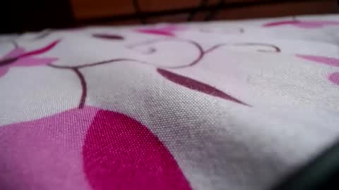 analsp online show from 11, 1, 2026