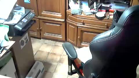 androgynia online show from 17, 10, 2025