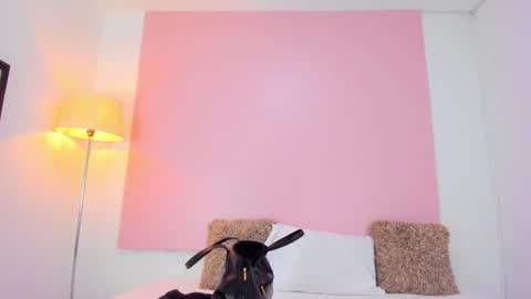 Andy  online show from 8, 1, 2026