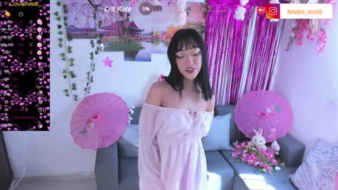          online show from 13, 12, 2024