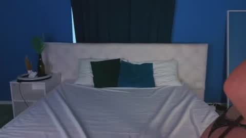 Snapshot of anellyball_ chatting on 11, 6, 2026 Anelly online show from 11, 6, 2026