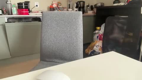 Snapshot of angelharly chatting on 8, 3, 2025 AngelHarly online show from 8, 3, 2025