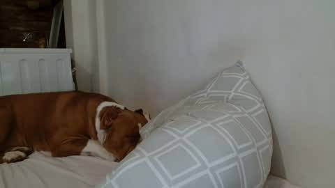 Angela online show from 8, 2, 2025