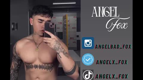 Angel Fox online show from 5, 12, 2025