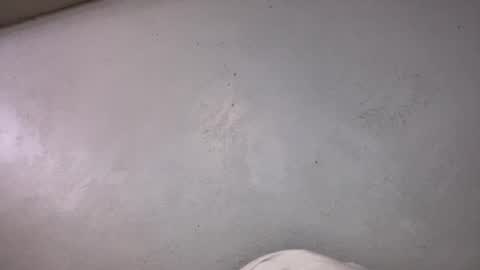 Animeboygirls online show from 19, 10, 2025