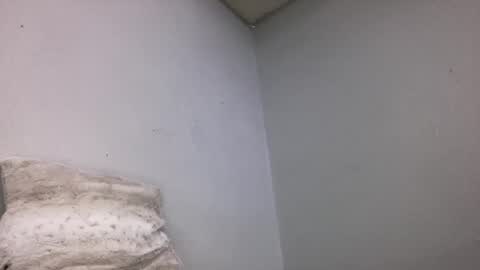 Animeboygirls online show from 16, 3, 2026