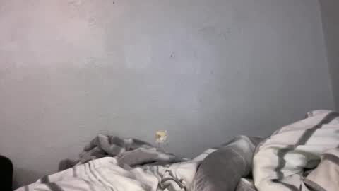 Animeboygirls online show from 29, 4, 2026