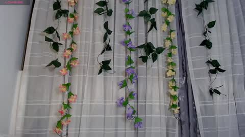 Snapshot of anissa_lee chatting on 2, 1, 2025 anissa_lee online show from 2, 1, 2025