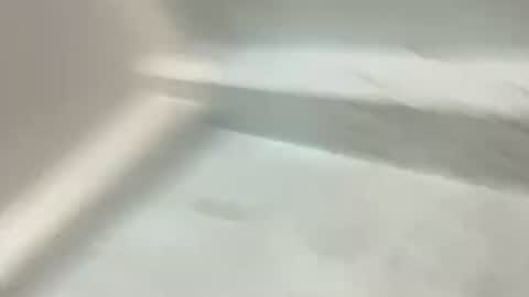 annabae69 online show from 13, 4, 2026