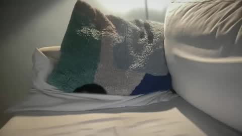 anned1991 online show from 21, 5, 2026