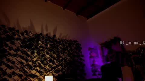 Snapshot of annie_barozzi chatting on 20, 12, 2024 annie_barozzi online show from 20, 12, 2024