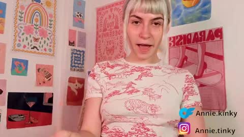 annietinky online show from 7, 4, 2026