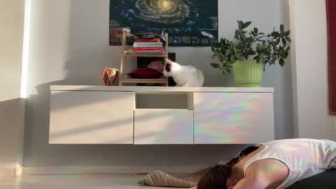 N  antics online show from 18, 9, 2025