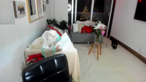 Anny online show from 1, 12, 2025