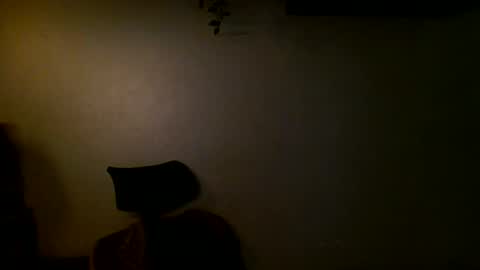 Ant online show from 11, 12, 2024