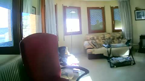 Snapshot of antonio2605 chatting on 13, 1, 2025 Antonio online show from 13, 1, 2025