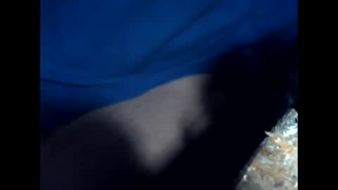 antxon12 online show from 15, 4, 2026