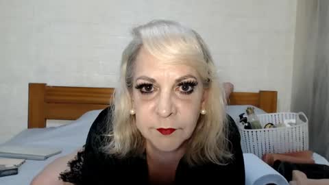 ANY CAT online show from 16, 6, 2026