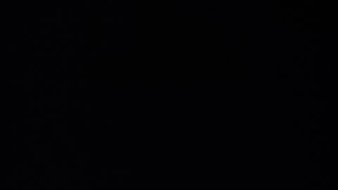 Punk online show from 10, 10, 2025