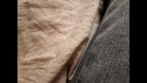 Daddy online show from 17, 11, 2025