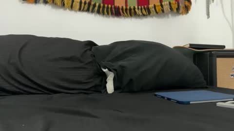 cowboy online show from 18, 11, 2025