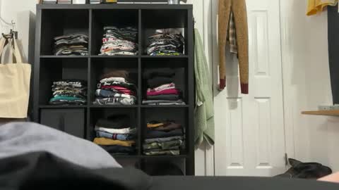 cowboy online show from 20, 11, 2025